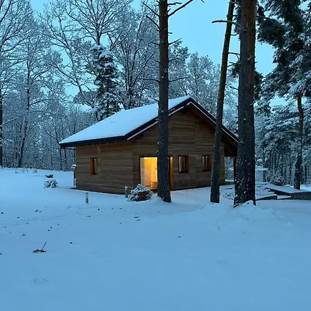 Chalet Un Bagno Nel Bosco - Moderno Chalet